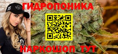 2c-b Партизанск