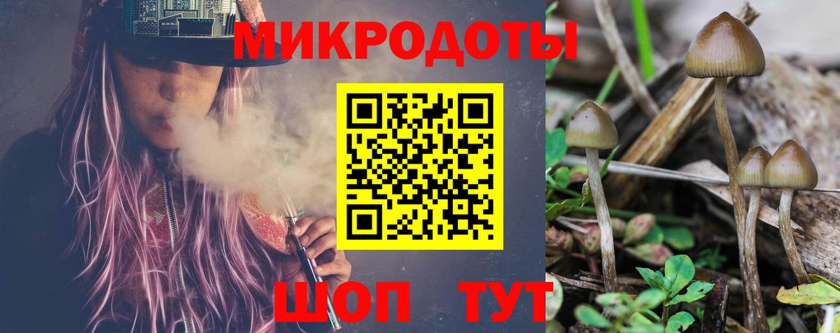 Советский  Галлюциногенные грибы Psilocybe  купить наркоту  Вход с VPN 