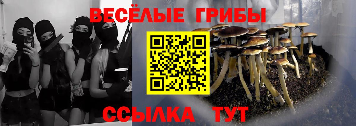 Галлюциногенные грибы Psilocybine cubensis Советский